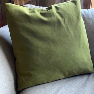 Green velvet 20 x 20 Pillow